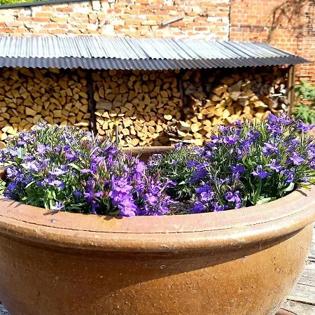 Appartamento Romantic Letschin
